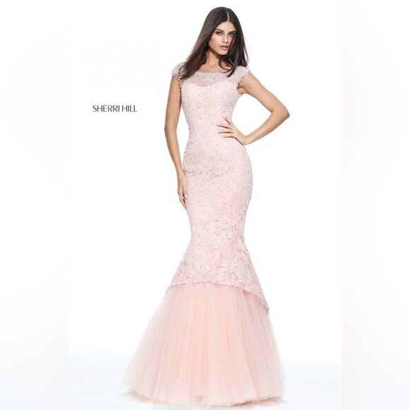 SHERRI HILL STYLE #51114 lace, tulle, embellished gown. Light pink - Picture 1 of 14